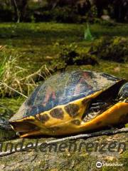 Lower Wekiva River Preserve State Park