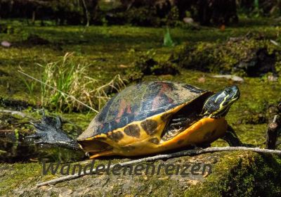 Lower Wekiva River Preserve State Park