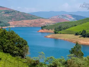 Avalanche Forest Reserve