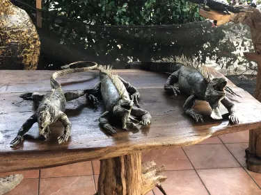 Armería
