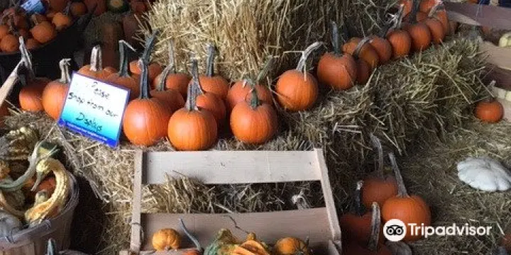 Axdahl's Garden Farm & Greenhouse