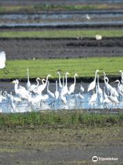 キャンダバ鳥類保護区