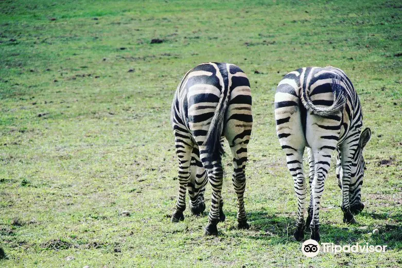 Zoo Gdańsk Oliwa