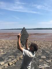 Blue Beach Fossil Museum