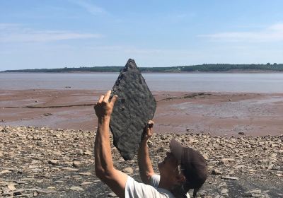 Blue Beach Fossil Museum