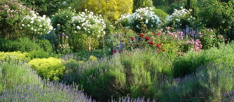 Spencers Garden