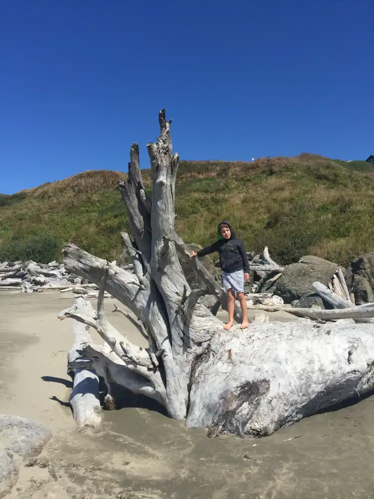 Hotels near Coquille Point