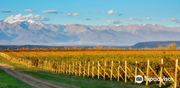 Savalan Aspi Winery
