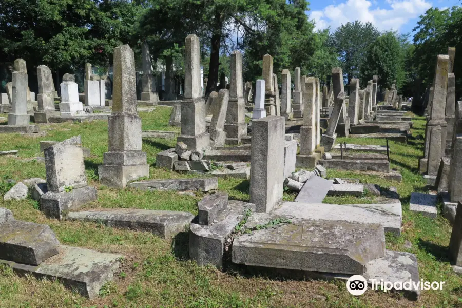 Moinesti Jewish Cemetery