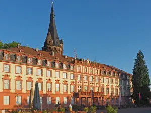 Erbach Palace