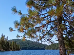 Sugar Pine Reservoir