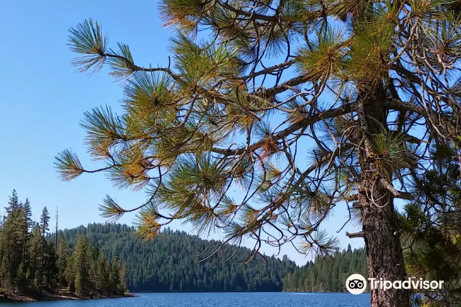 Sugar Pine Reservoir