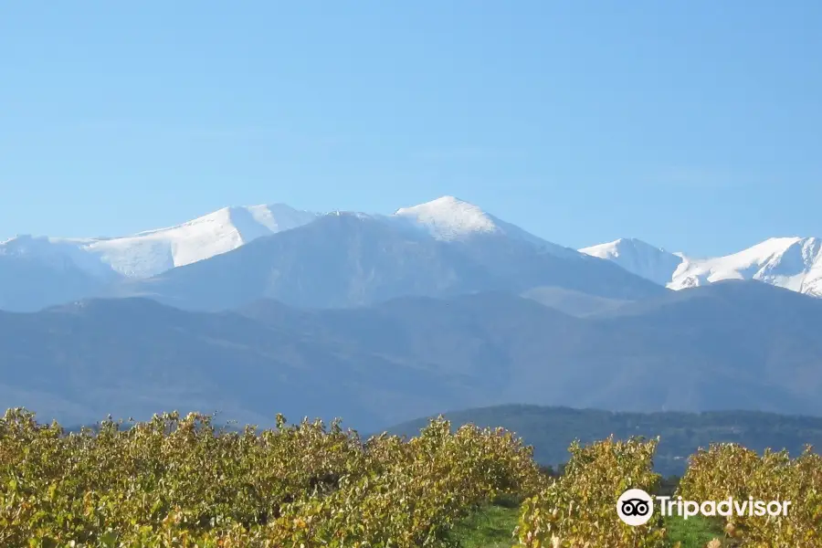 Domaine Saqué