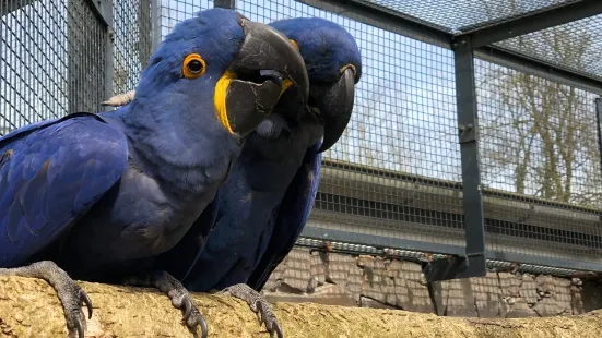 シュトラウビング動物園