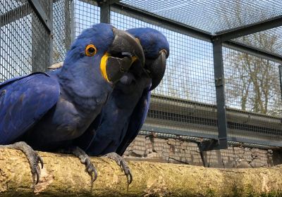 Jardin zoologique de Straubing