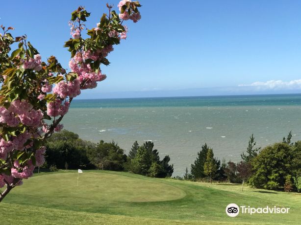 Tasman