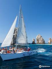 Pez Gato Cabo Sailing Catamarans