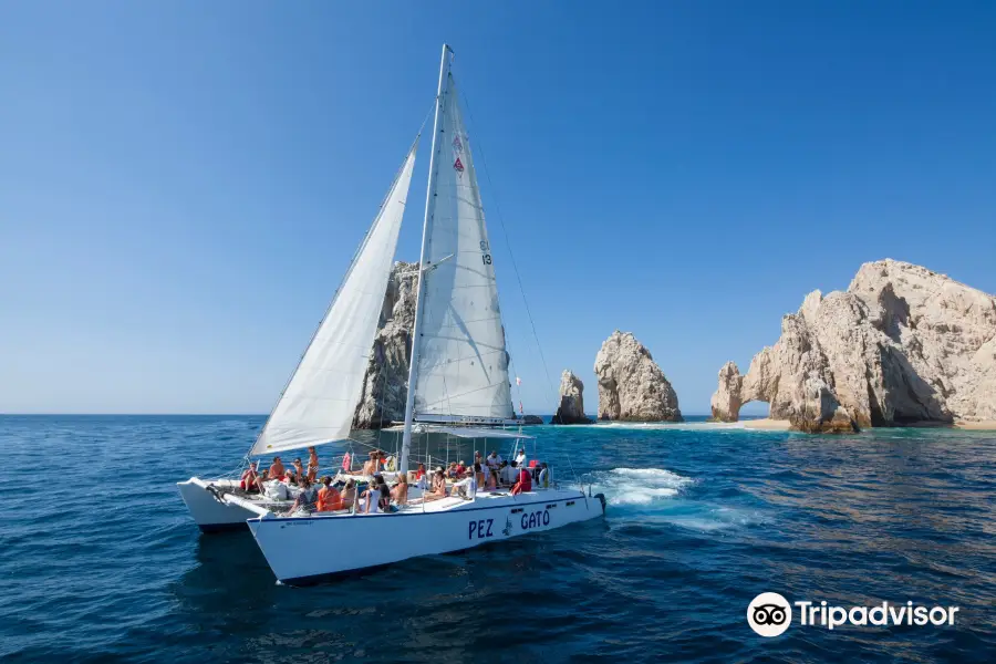 Pez Gato Cabo Sailing Catamarans