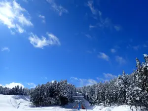 Shinbo Family Ski Area