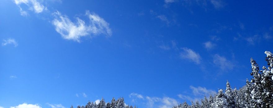 Shinbo Family Ski Area
