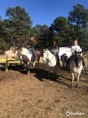 Barnyard Friends Peting Zoo