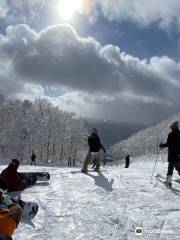 Megashira Hot Spring Megahira Ski Resort