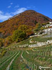 Menthon-Saint-Bernard Castle