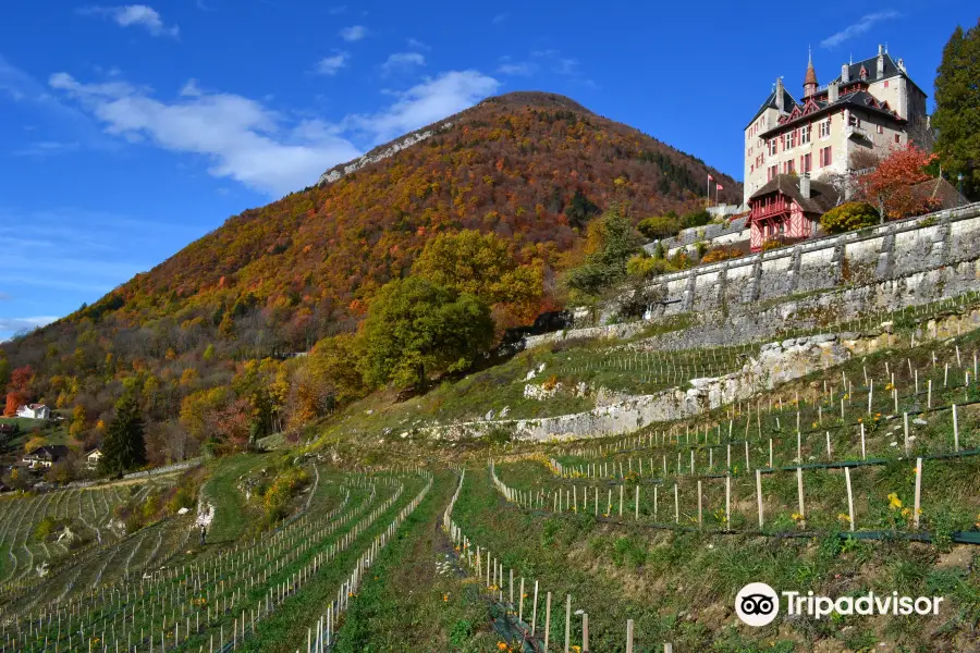 Castello di Menthon-Saint-Bernard