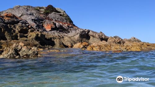 Boat Harbour Beach