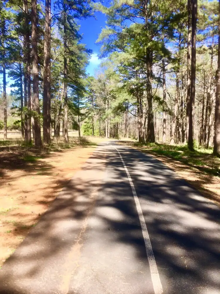 Hotels in Lawrenceville