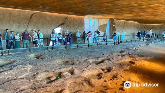 Australian Age of Dinosaurs