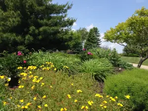Newton Arboretum & Botanical