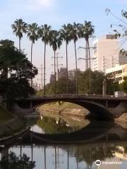Ponte da Avenida Joao Pessoa