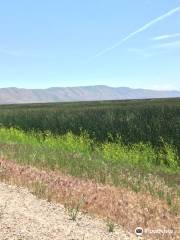 Bear Lake National Wildlife Refuge