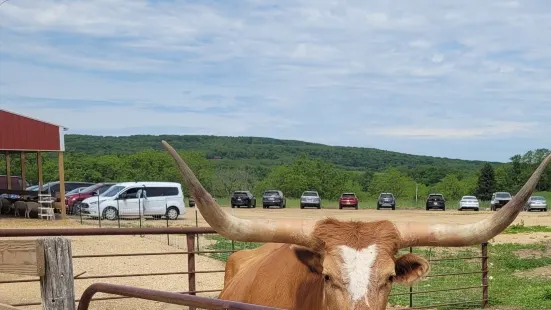 Havens Petting Farm