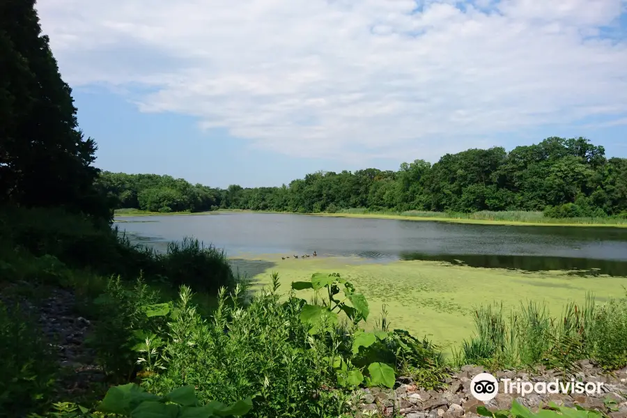 Twin Lakes County Park