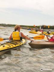 Edisto Watersports & Tackle