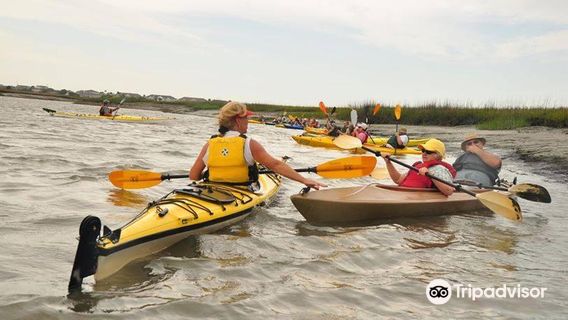 Edisto Watersports & Tackle