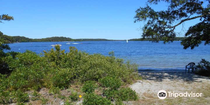 Cape Cod Rail Trail