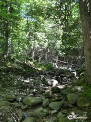 Saugeen Bluffs Conservation Area