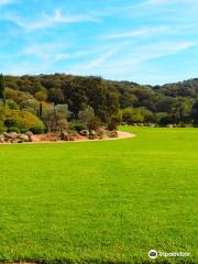 Parc de Saleccia - Parcu di Saleccia