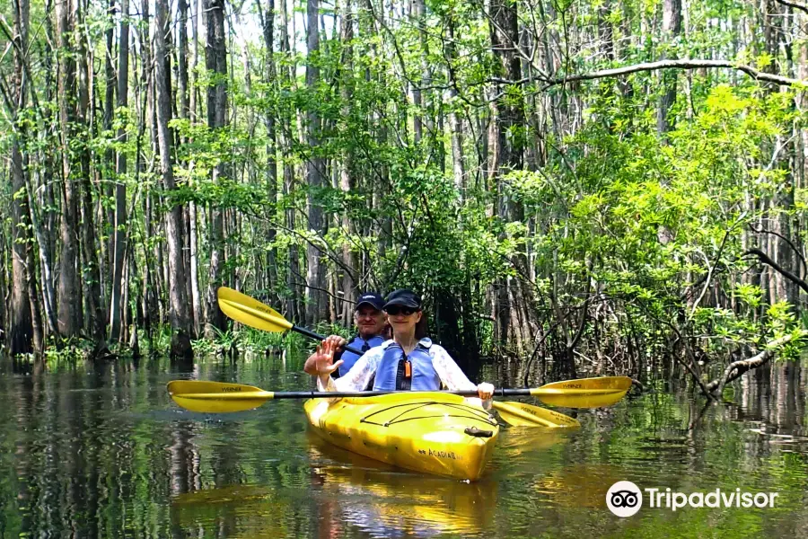 Black River Outdoors