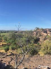 Kakadu 4WD Safaris