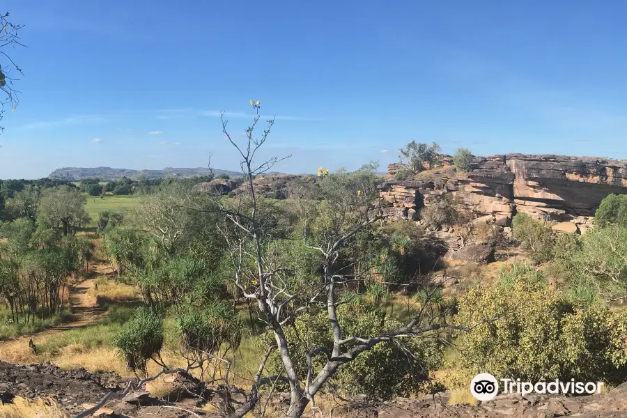 Kakadu 4WD Safaris