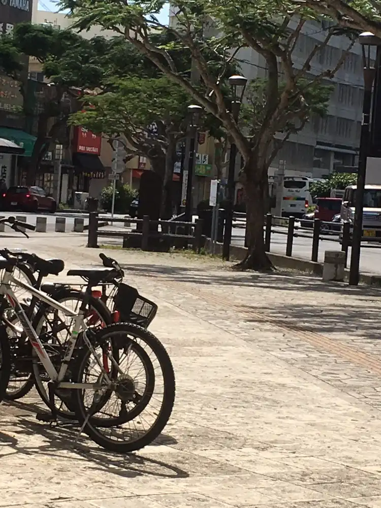 Hotels near Shinshu Miebashi Monument