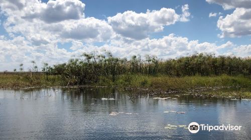 Bangweulu Wetlands