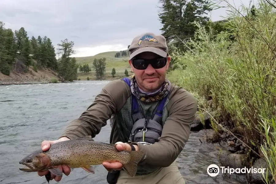 Yellowstone Country Fly Fishing