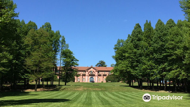 Parco Regionale La Mandria