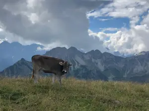 Fellhornbahn GmbH
