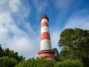 Curonian Spit National Park